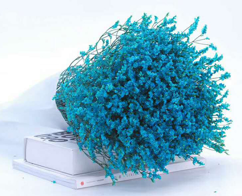 天然干花水晶草 彩色水晶草干花 云南原产地 厂家直销